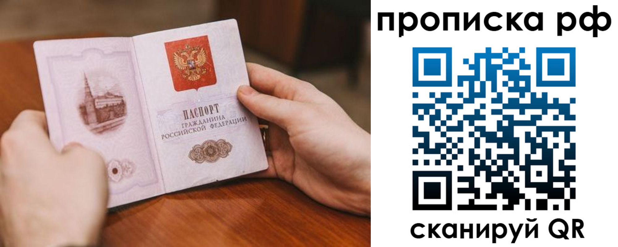 прописка поиск в Клинцах